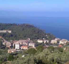 Camogli