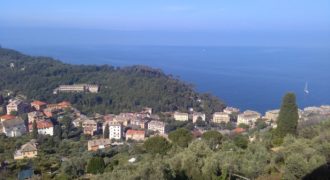 Camogli